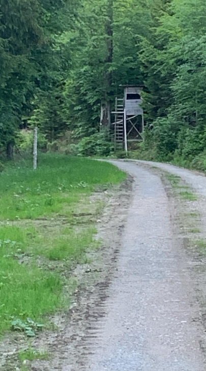 Füchtenfeld zwischen Wolf und Governance 26.05.2026