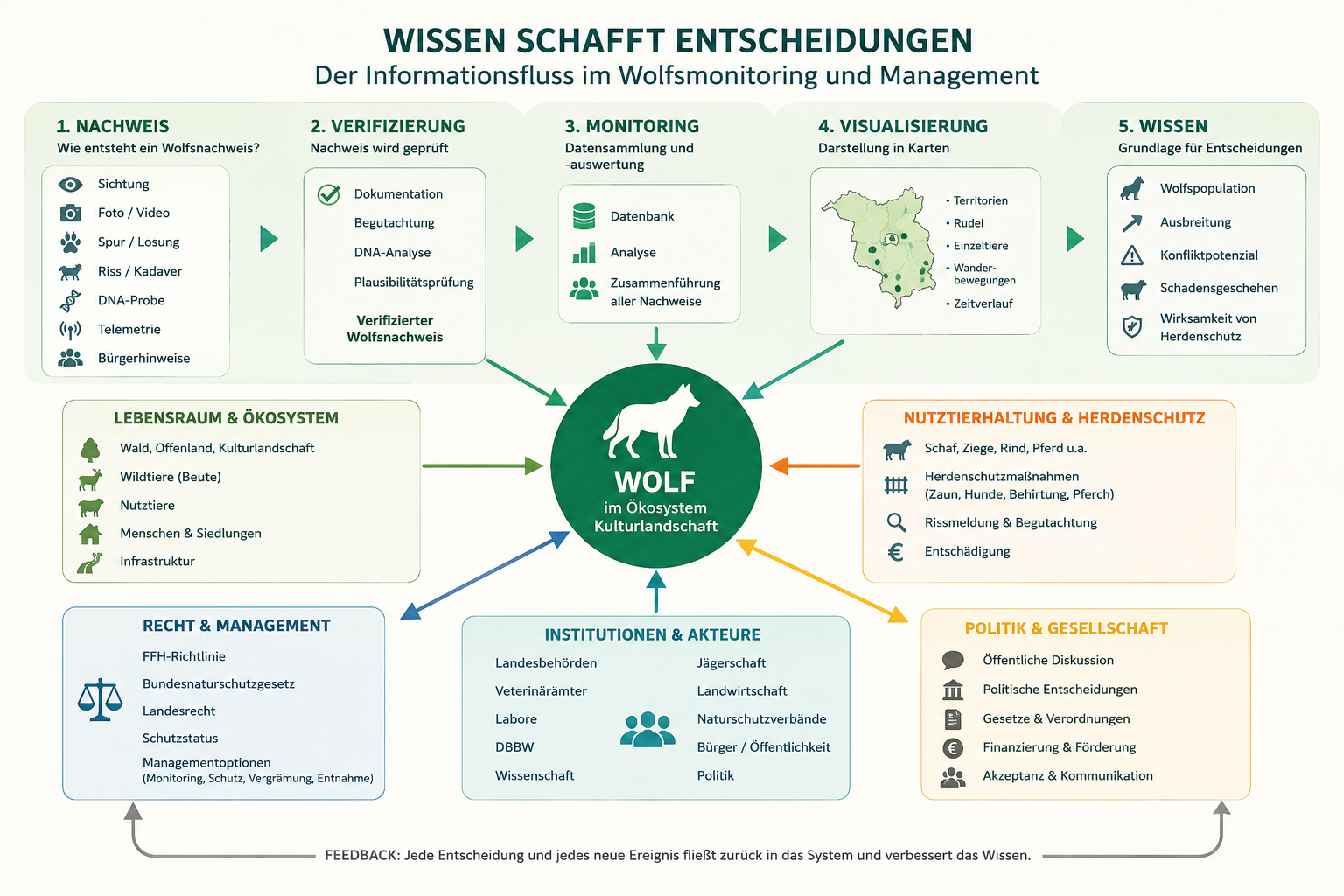 Grindi-Wolf: Wolfsfreie Zone Brandenburg – Wolfsmonitoring, Wolfsnachweise, Herdenschutz und Wolfsmanagement als zusammenhängendes System