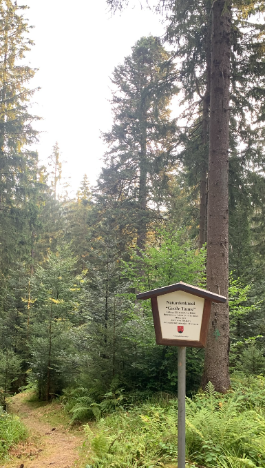 Grindi-Wolf: Erfahrungsberichte