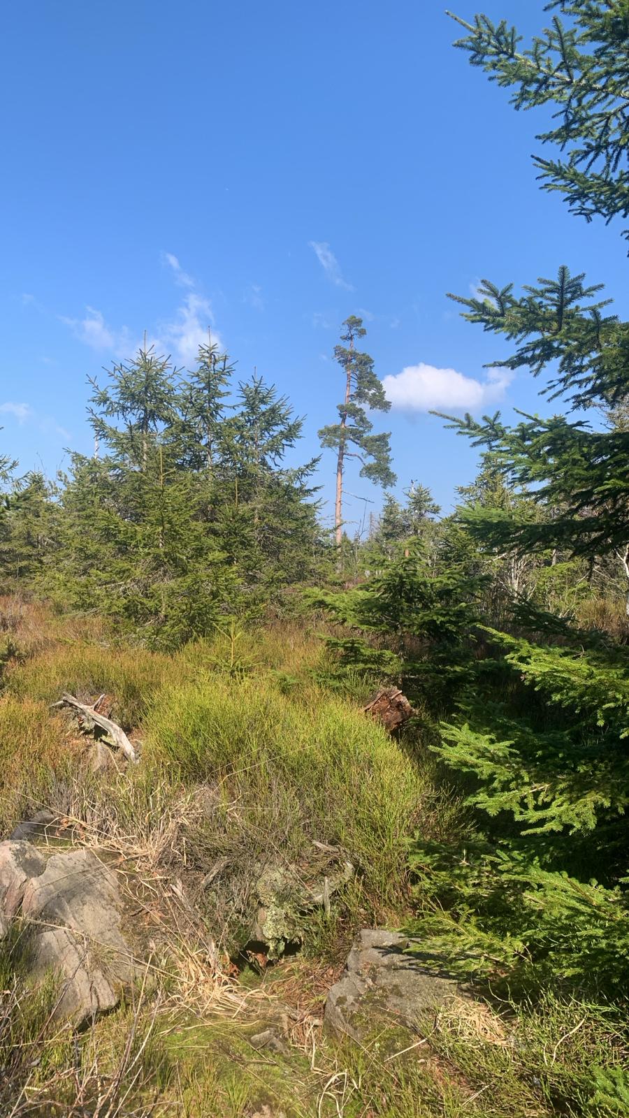 Was wir jetzt konkret tun können im Fall „Grindi“ (GW2672m): Klar bleiben, prüfen und Missverständnisse sachlich aufklären