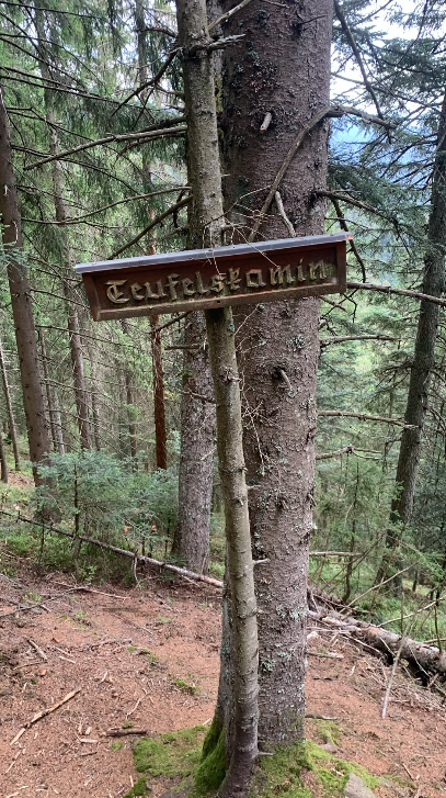 Hornisgrinde-Wolf am 24.09.2026: Über den Südbeckerweg zum Hohen Ochsenkopf