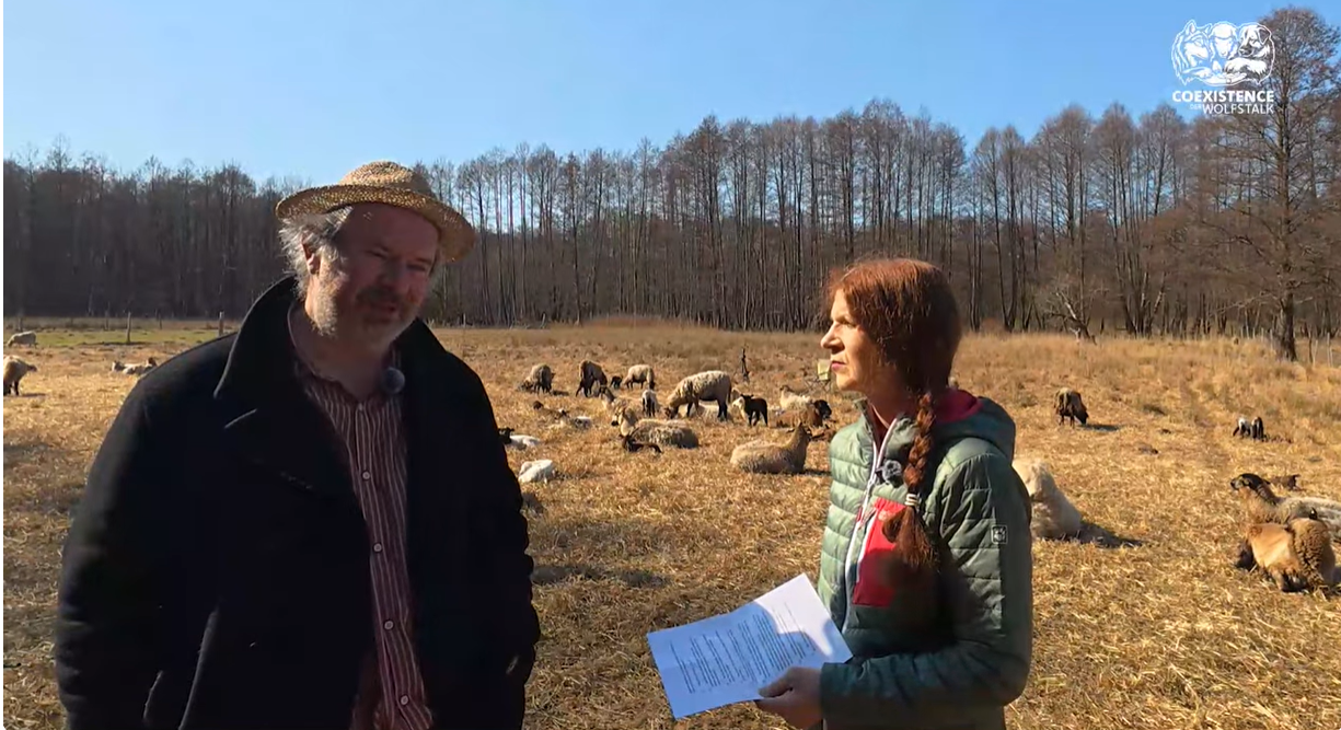 Was wir von einem Schäfer lernen können – und warum das für Grindi wichtig ist