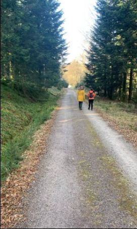 Bettina im Wolfsfall „Grindi“ – Beobachtung einer Beteiligung im Nordschwarzwald