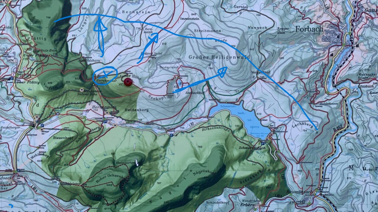 Der Feldbeobachter („der Dr.“) im Fall Grindi