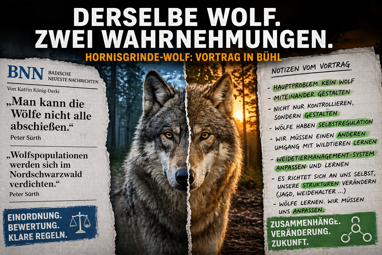 Hornisgrinde-Wolf: Derselbe Vortrag, zwei Wahrnehmungen