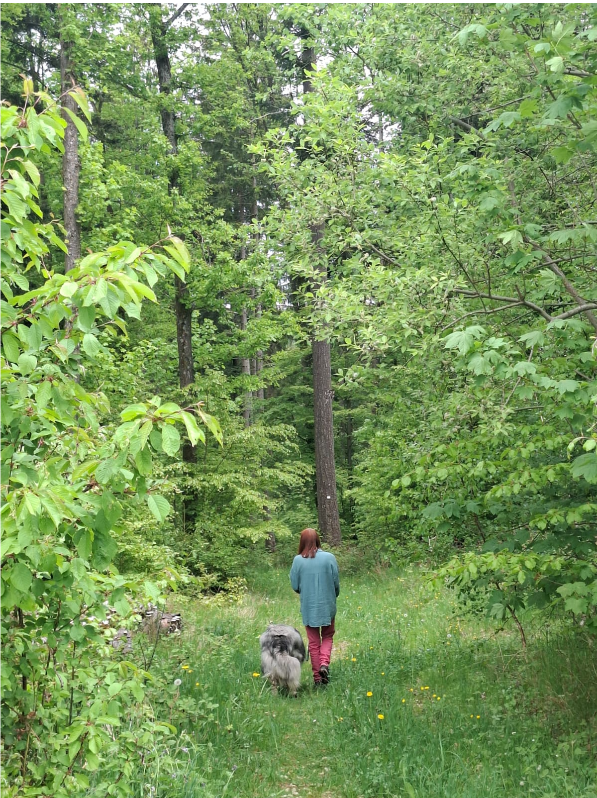 Sozial Walking Hundseck · Grindi Kontext